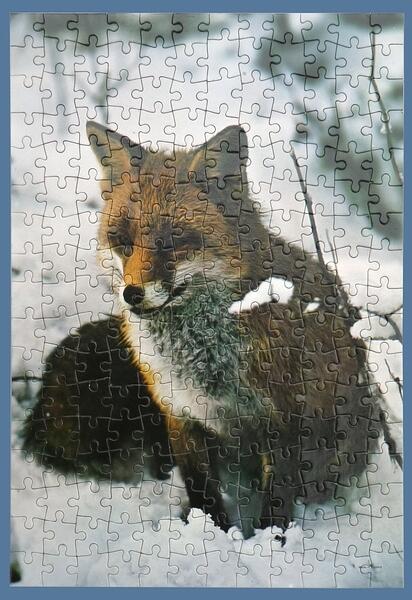 4399FoxPuzB