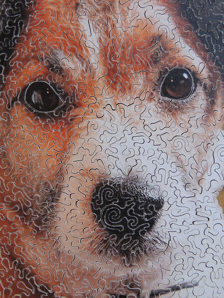 Detail 2