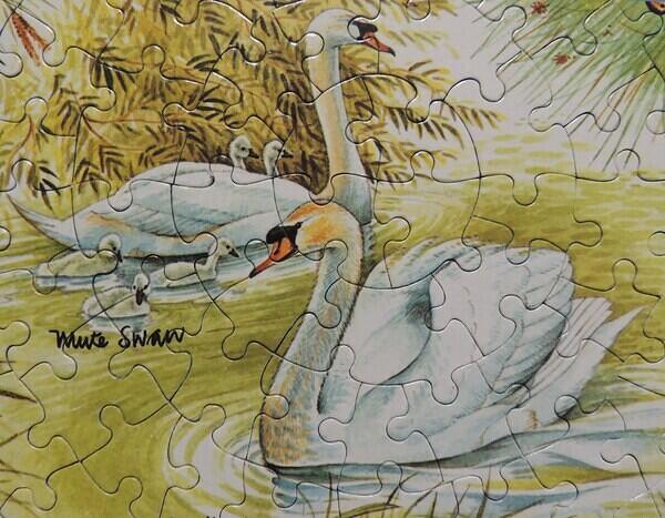Detail 10