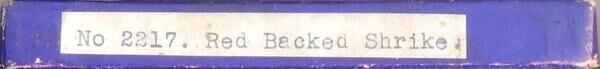 Label (Custom)