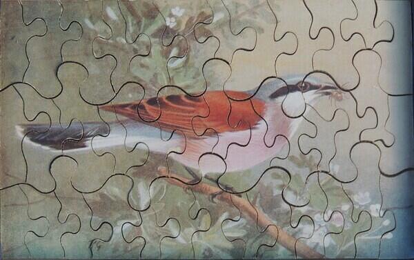 Puzzle (Custom)