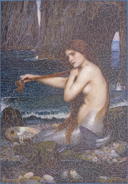 DS The Mermaid