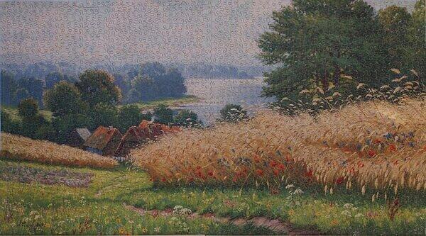 Waving Cornfield.JPG