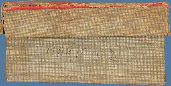 Marigold (Box 2).JPG