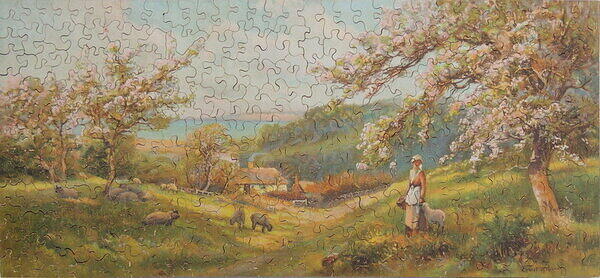 Spring Flowers.JPG