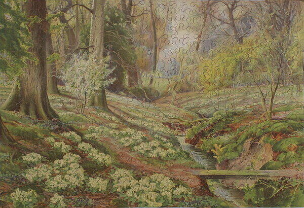PRIMROSES IN A BERKSHIRE WOOD.jpg