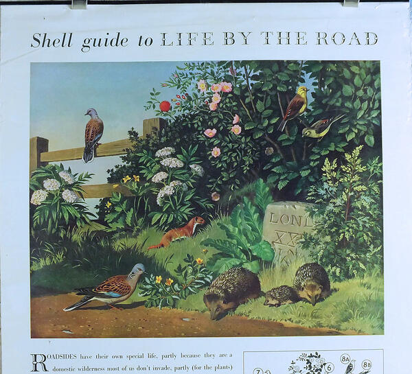 Shell Guide Life By the Road John Leigh Pemberton