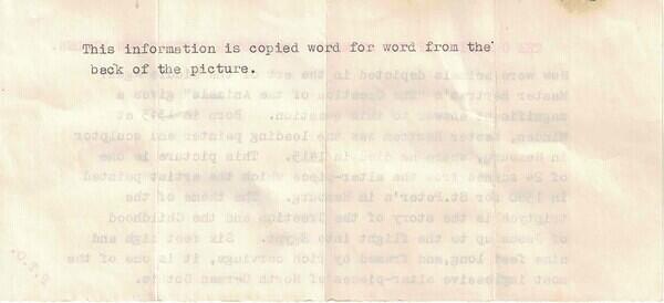 Info (reverse)