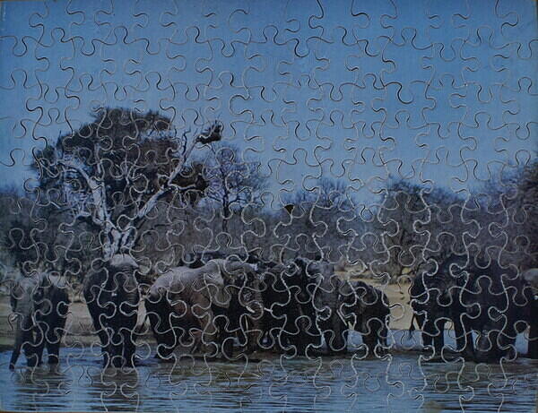 ELEPHANTS 001.JPG