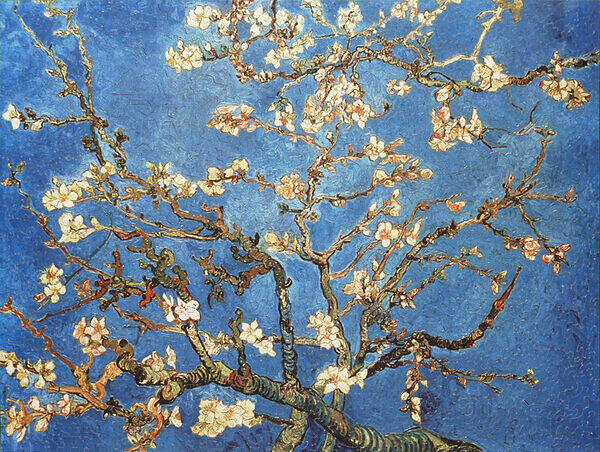 Blossoming Almond Tree.jpg