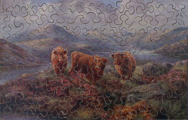 HIGHLAND CATTLE & FISHING ON THE LOCH 1.jpg