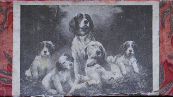 A ROYAL FAMILY 003.jpg