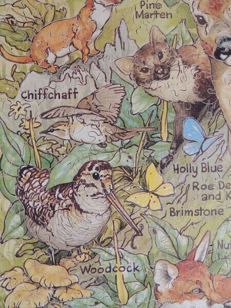 Detail 6