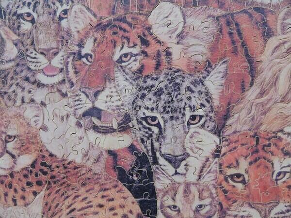 Detail 3 (Custom)