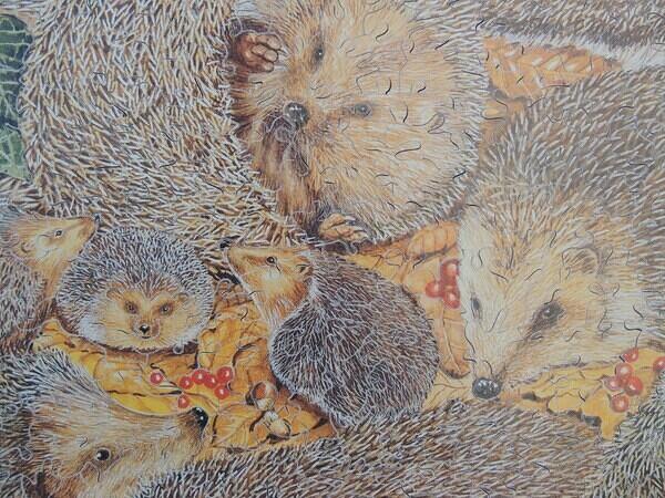 Detail 2 (Custom)