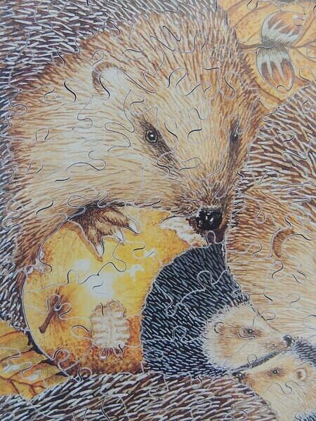 Detail 3 (Custom)
