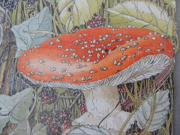 Detail 5 (Custom)