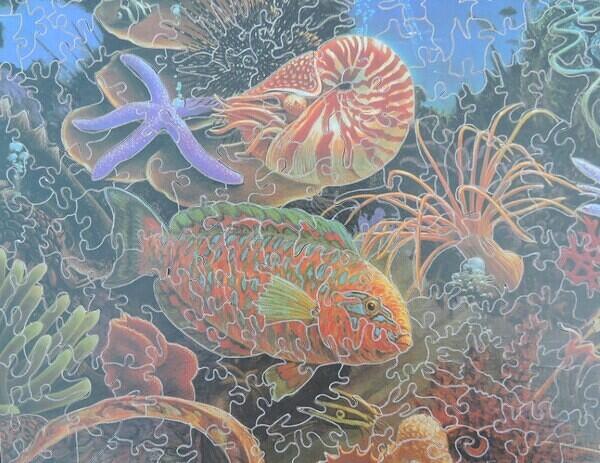 Detail 3 (Custom)