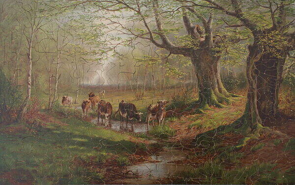 THE PATH THROUGH THE FOREST .jpg