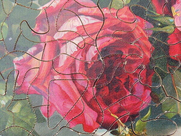Red Roses (Detail).JPG