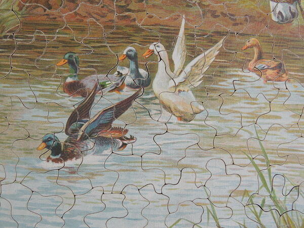 Detail 3