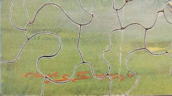 Signature (Custom)