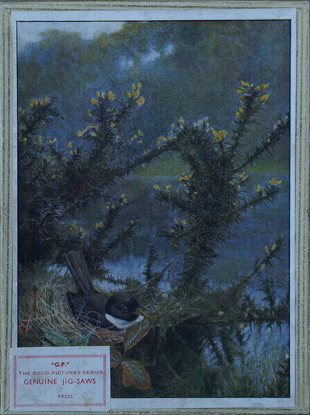 UNTITLED-BIRD IN NEST (BOX).jpg