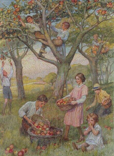 Fruit Harvest.JPG