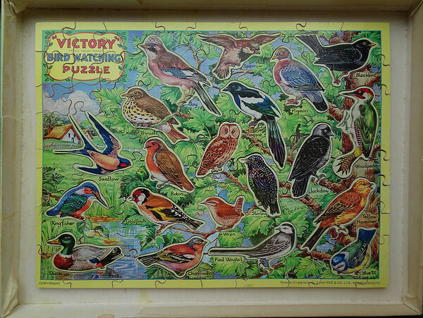 BW1 Bird Watching Jigsaw with 20 cut-out birds