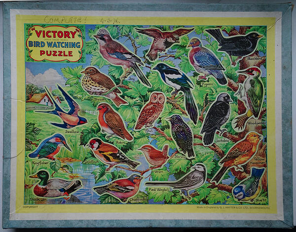 Box Victory 80pc Bird Watching with Cut-Outs