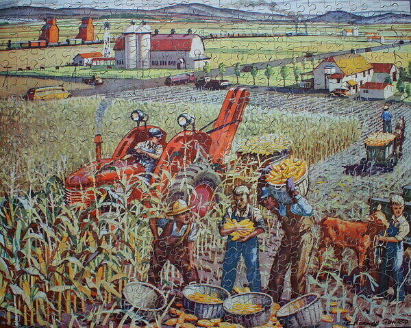 HARVESTING CORN 001.jpg