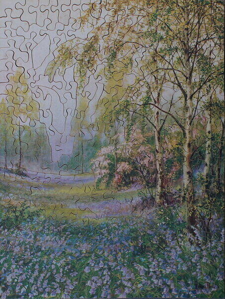 SPRING, BLUEBELLS. .jpg