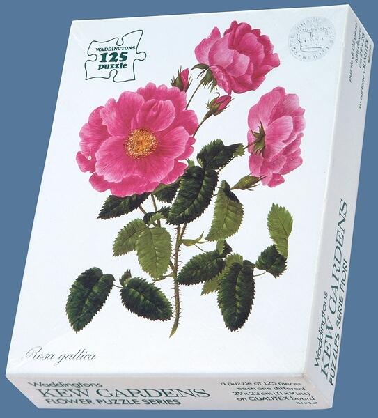 543RGBoxBl