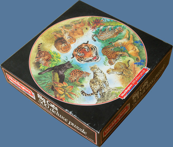 5982 Big Cats (Box 1).jpg