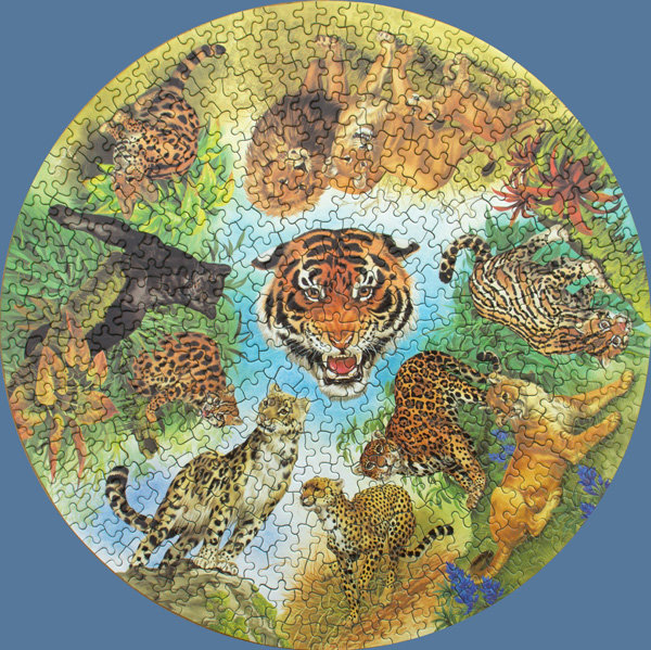 5982 Big Cats.jpg