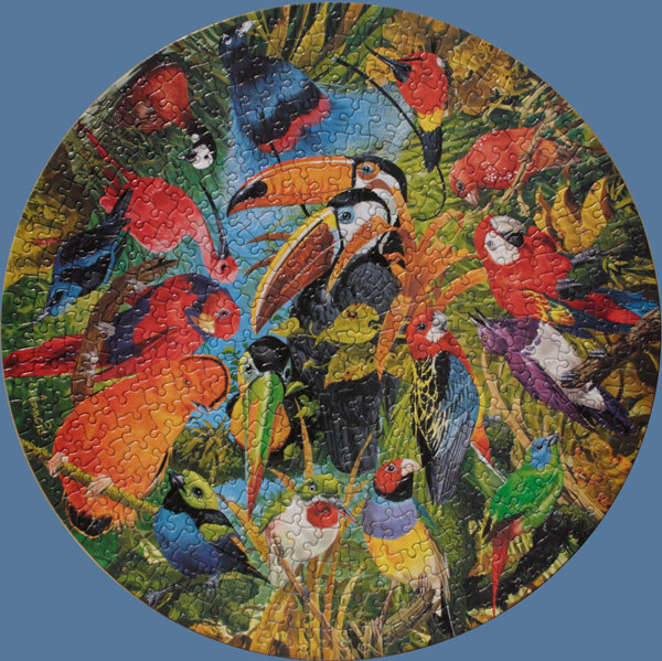 5986. Tropical Birds.jpg