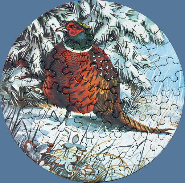 Pheasant.jpg