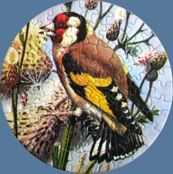 Goldfinch.jpg