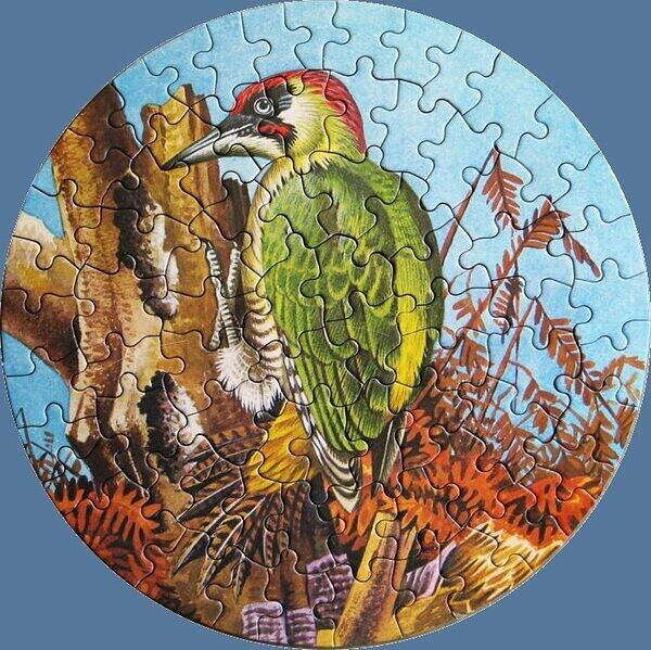 GREEN WOODPECKER.jpg