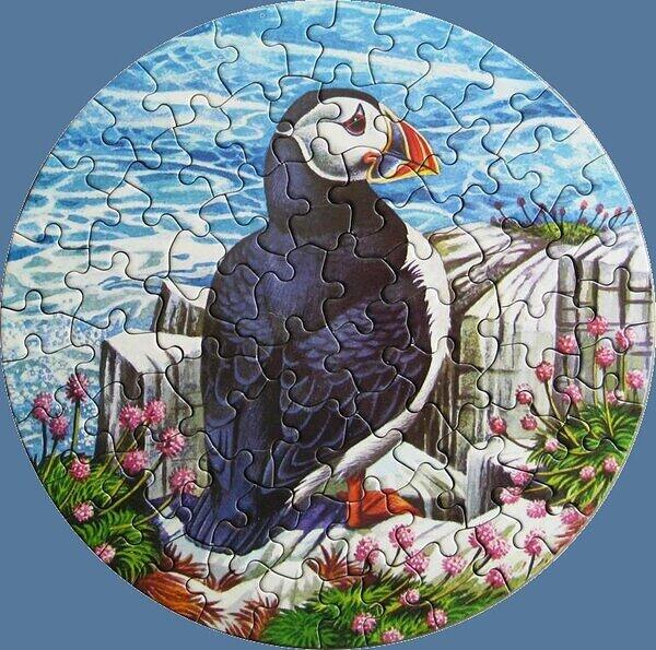 Puffin.jpg