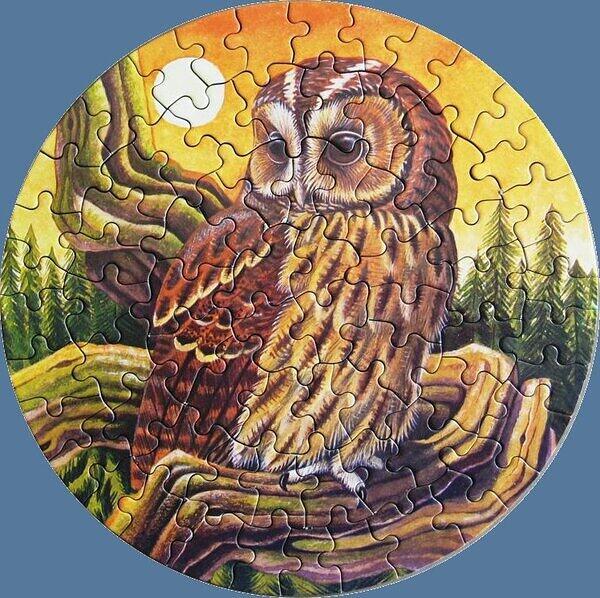 Tawny Owl.jpg