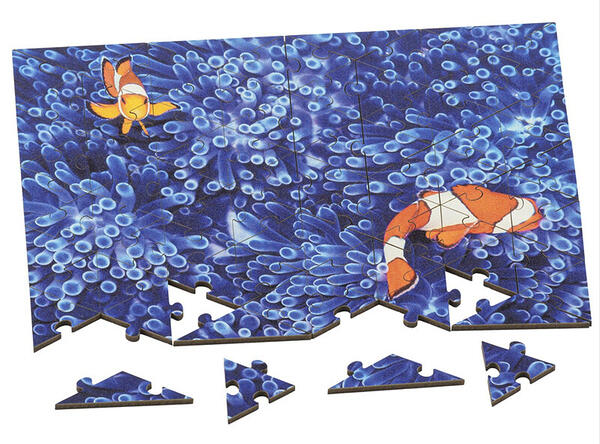 Minimindful Summer23 80pc Clown Fish
