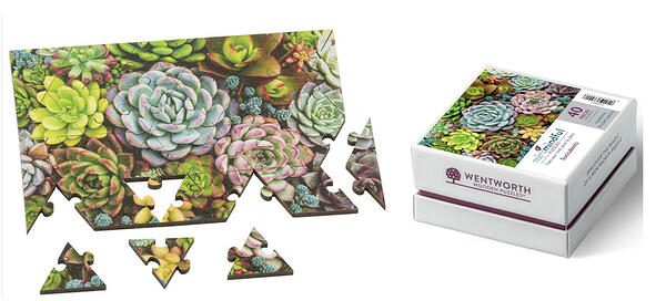 Wentworth Minimindful Range 40pc Succulents 6
