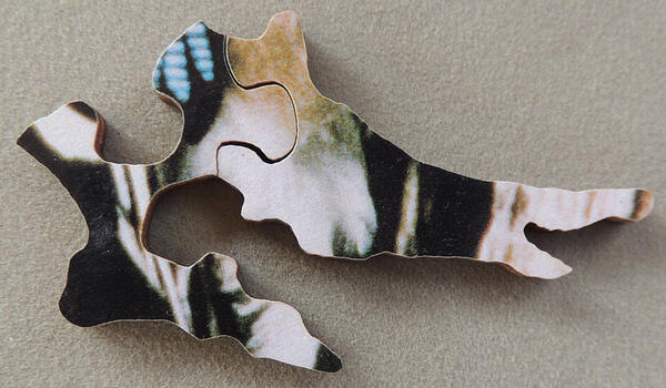 Detail 1