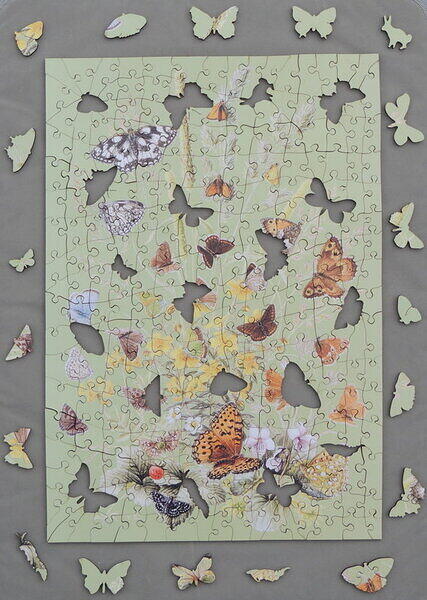 Grassland Butterflies (Separate Figurals).JPG