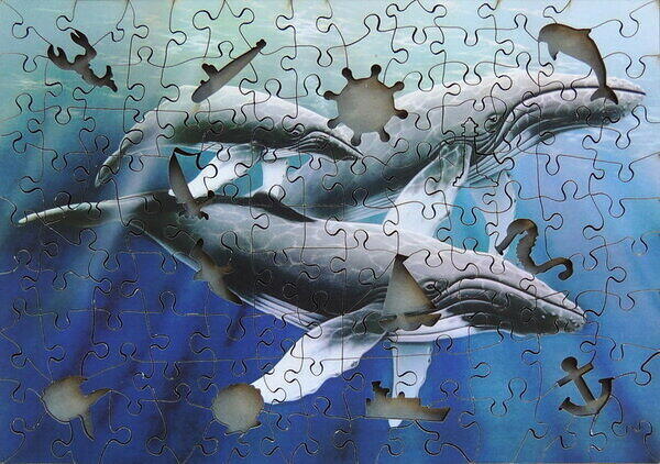 Humpback Whales (-Figurals).JPG