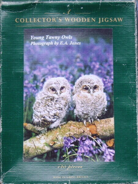 YOUNG TAWNY OWLS 002.jpg