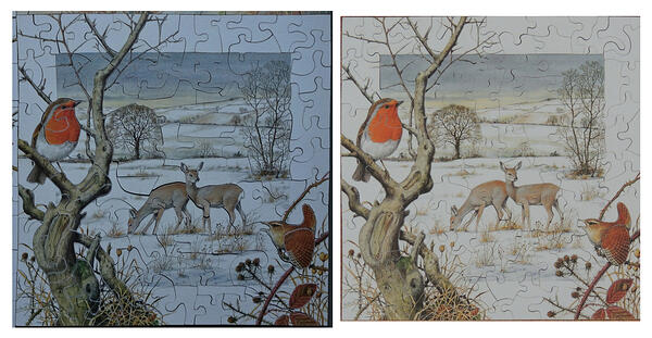 Two Copies of January Calendar Series Meredith Worsfold L JA R-No1068 122pc 4