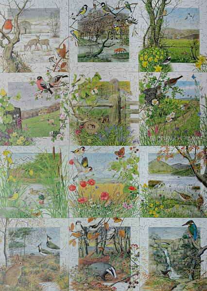 Wildlife Calendar Series by Peter Barrett cut Meredith Worsfold