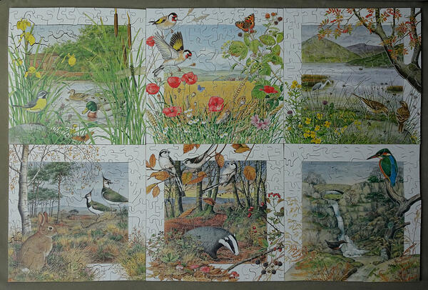 Meredith Worsfold July - December Calendar Series by Peter Barrett